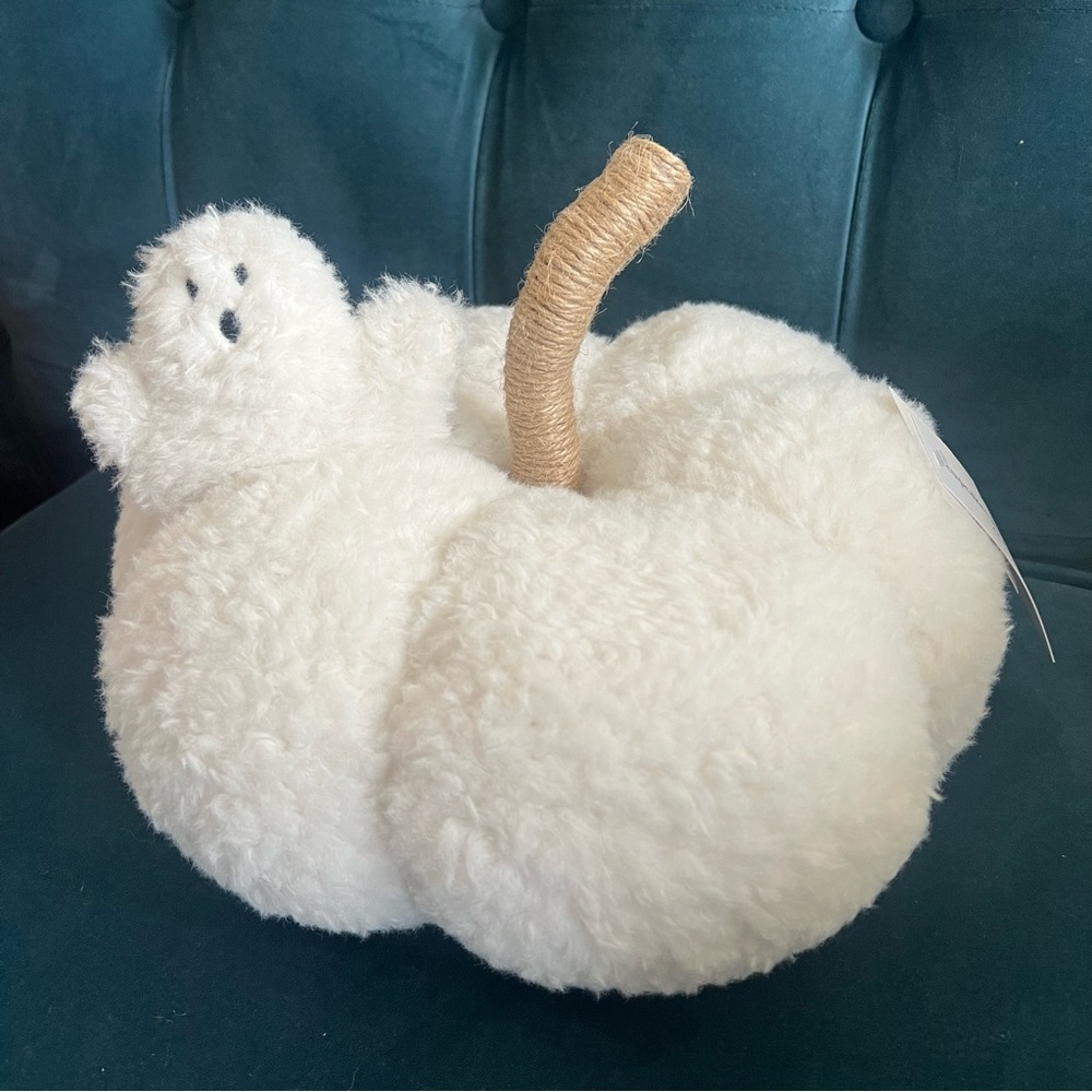 Sherpa Pumpkin with Ghost